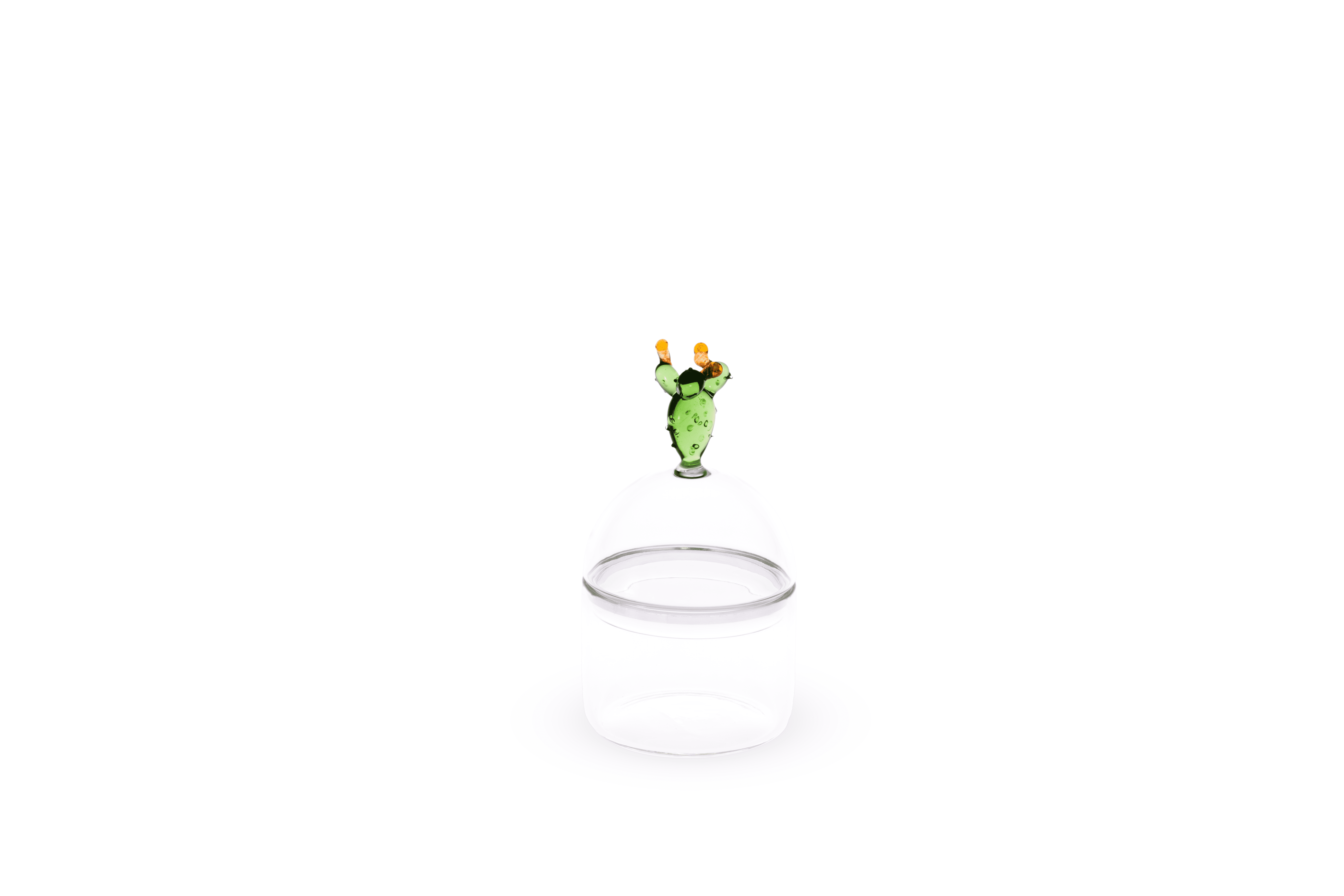 Mediterraneo Handcrafted Glass Container Small with Cactus